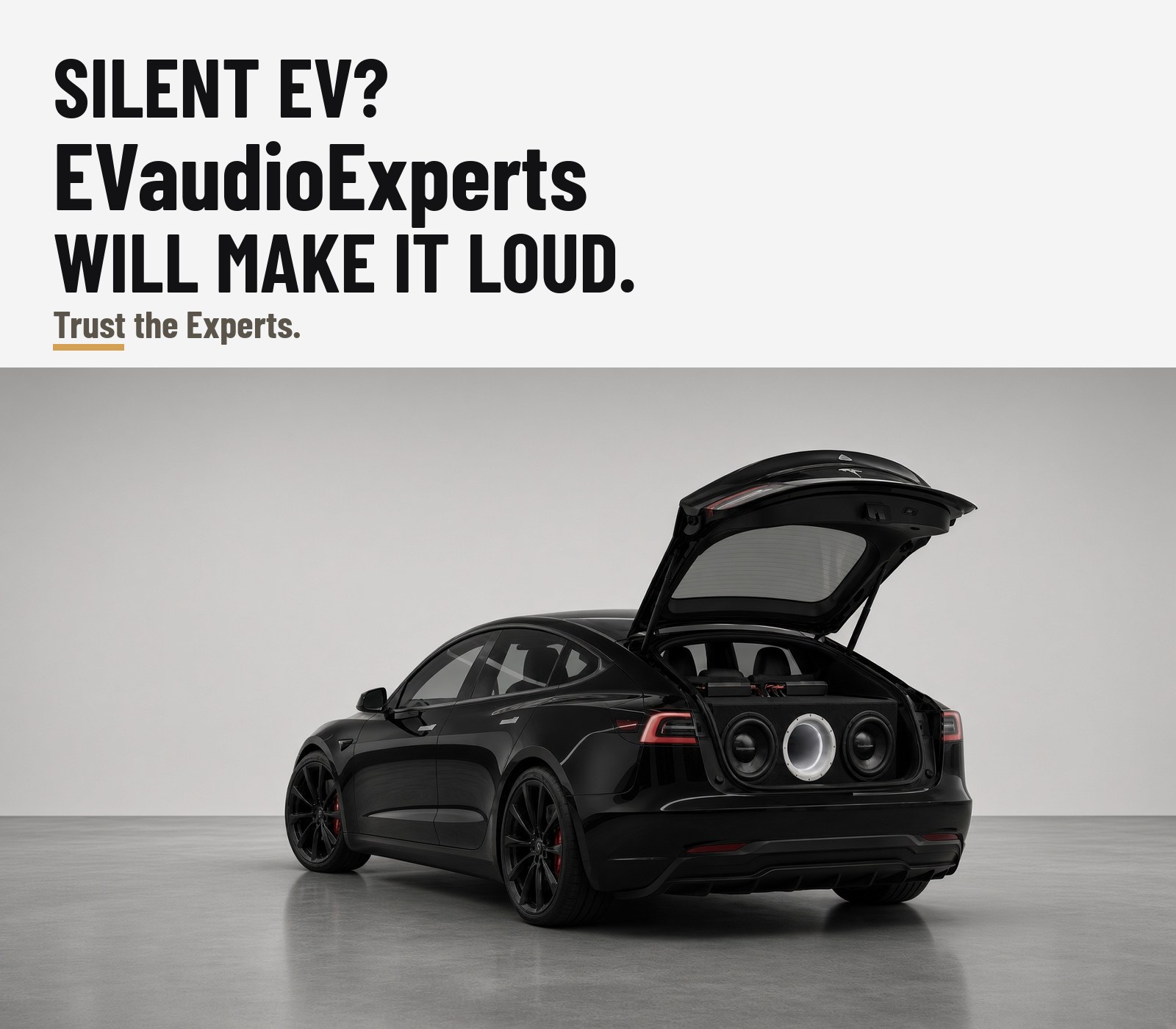 Silent EV? EVaudioExperts will make it loud. Tesla with a custom LiFePO4 audio system.